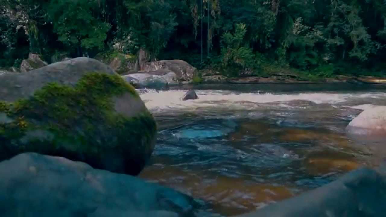 NATUREZA EM MOVIMENTO