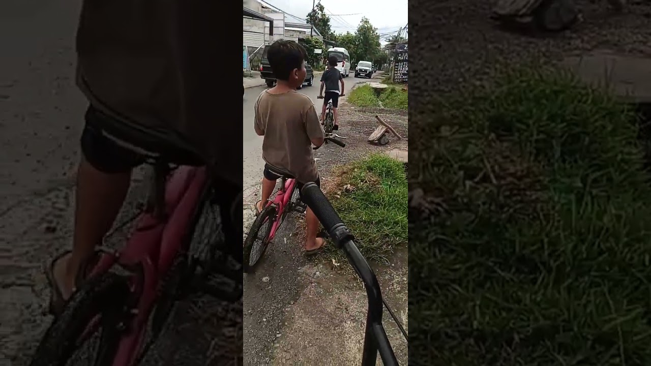 Vlog gusy