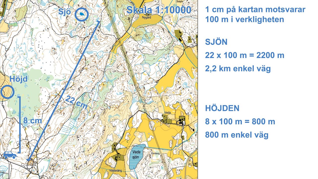 Skalor | Lär dig karta och kompass