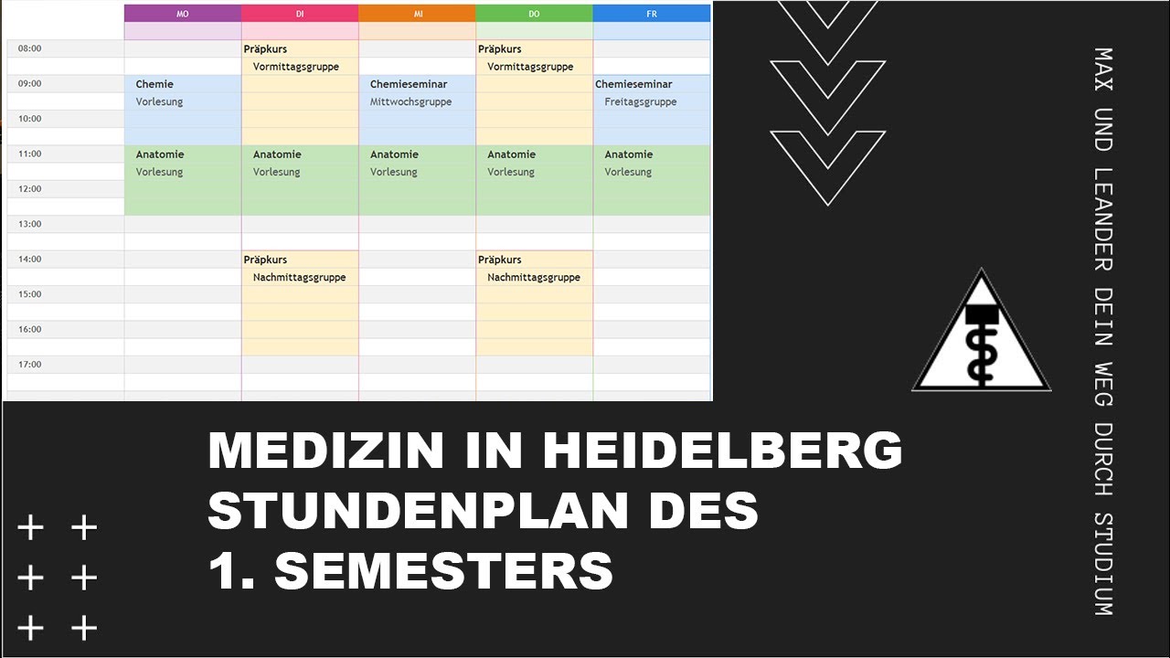 STUNDENPLAN im 1. SEMESTER - Medizin in Heidelberg