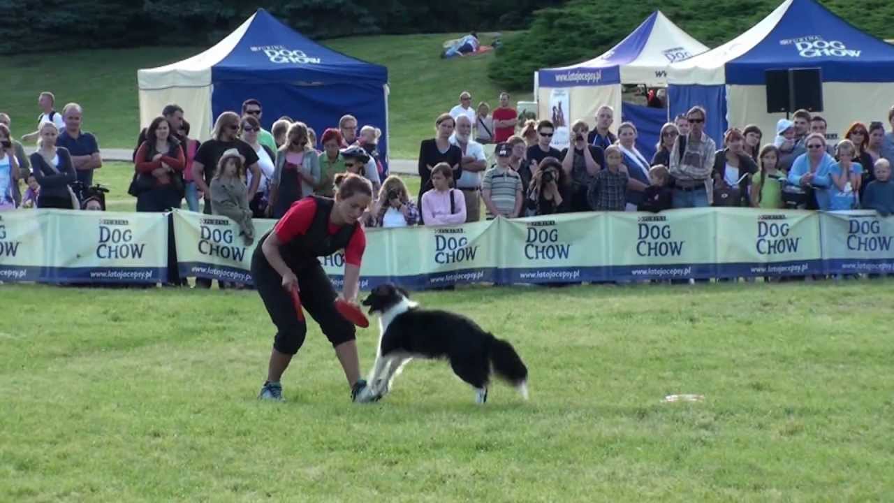 ME v dogfrisbee 2012