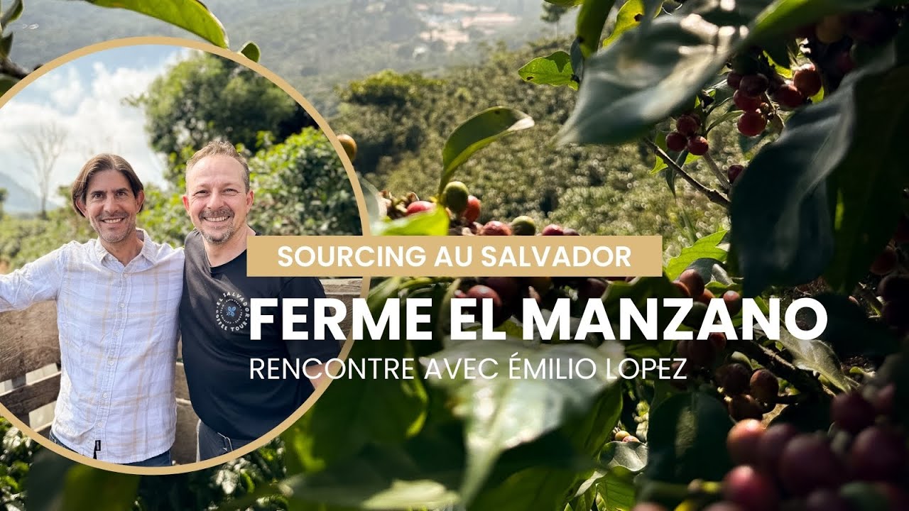 🌿 Immersion dans une plantation de café durable au Salvador