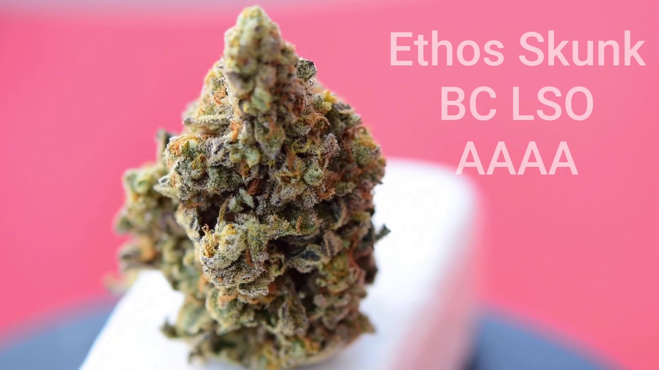 Ethos Skunk Hero Weed Strain 2020