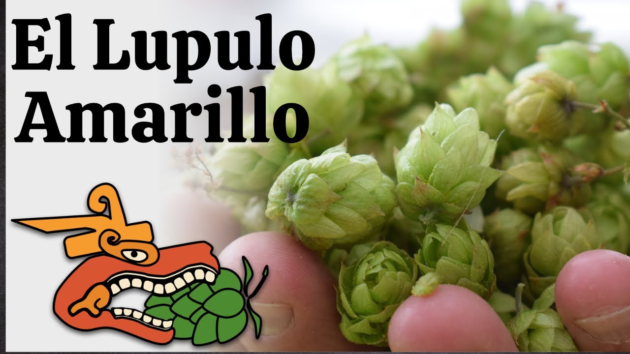 L&uacute;pulo Amarillo: La Gu&iacute;a para Cerveceros Caseros