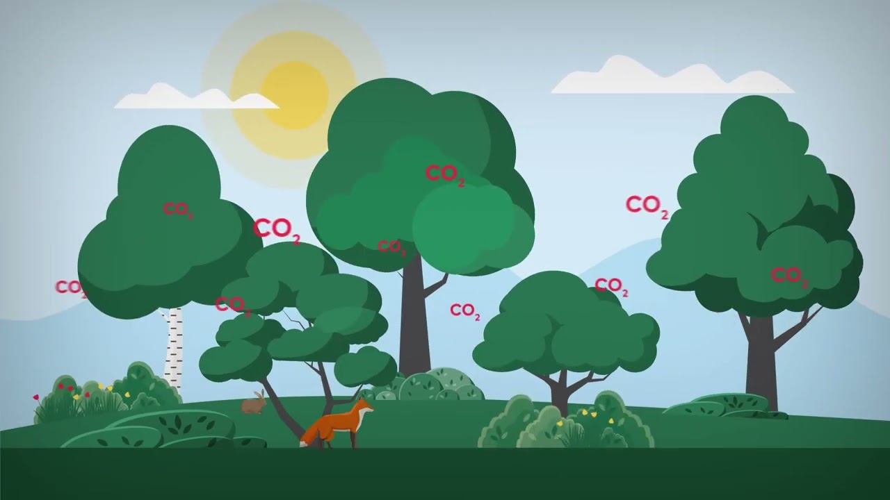 Nordgen - Naturbaserade L&ouml;sningar Som L&ouml;ser Olika Problem || Animerad Reklamfilm