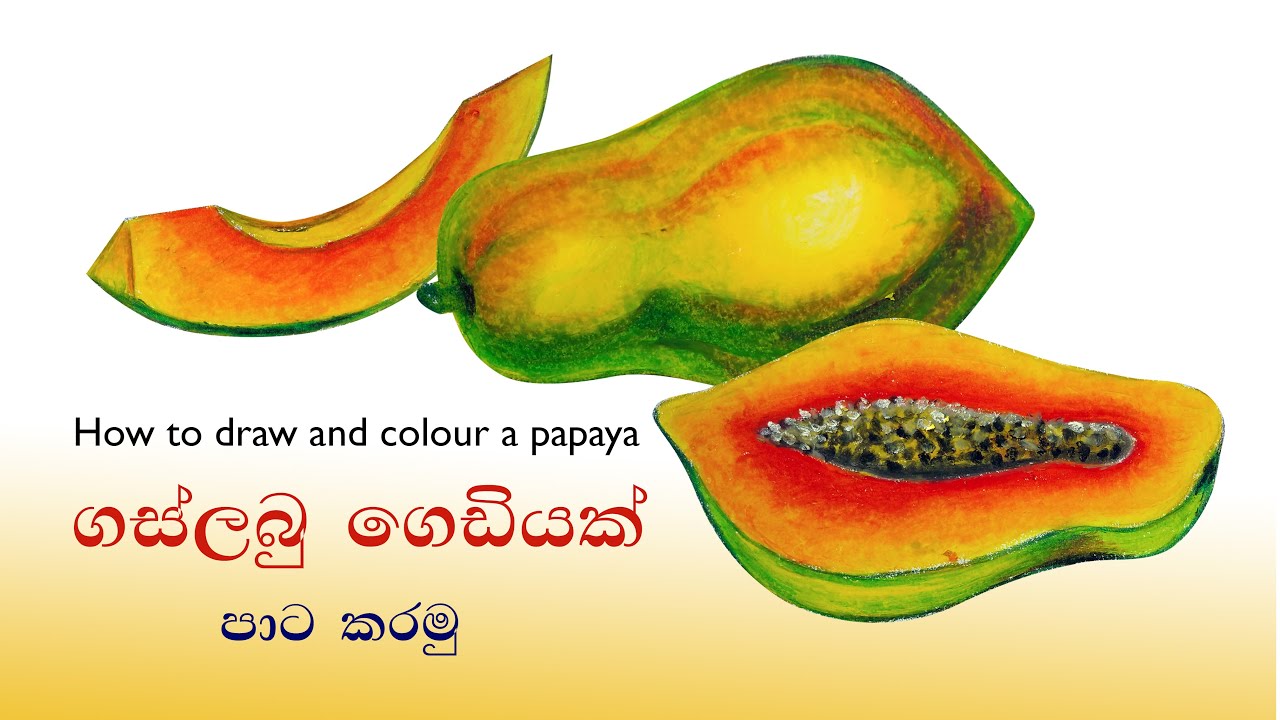 coloring a papaya | pastel art for beginners
