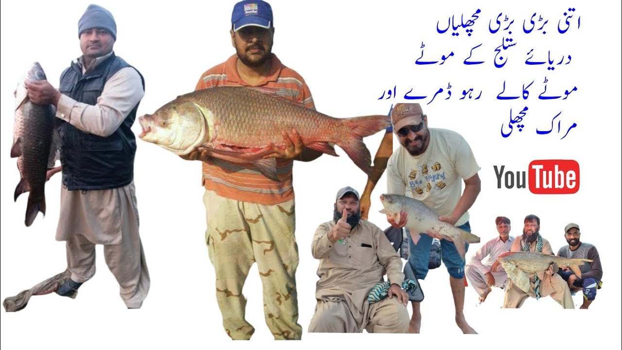 fishing in Pakistan. big game river Satluj  by asghar khan