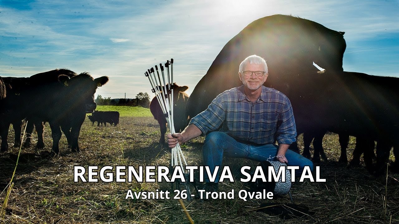 Regenerativa Samtal - Avsnitt 26 - Trond Qvale