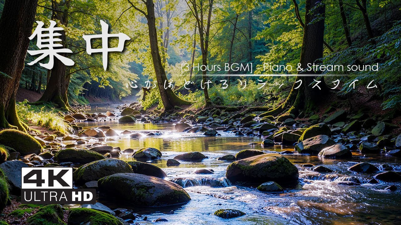 【Relax Piano BGM / Nature Sound】森の清流とピアノの音色｜心がほどけるリラックスタイム