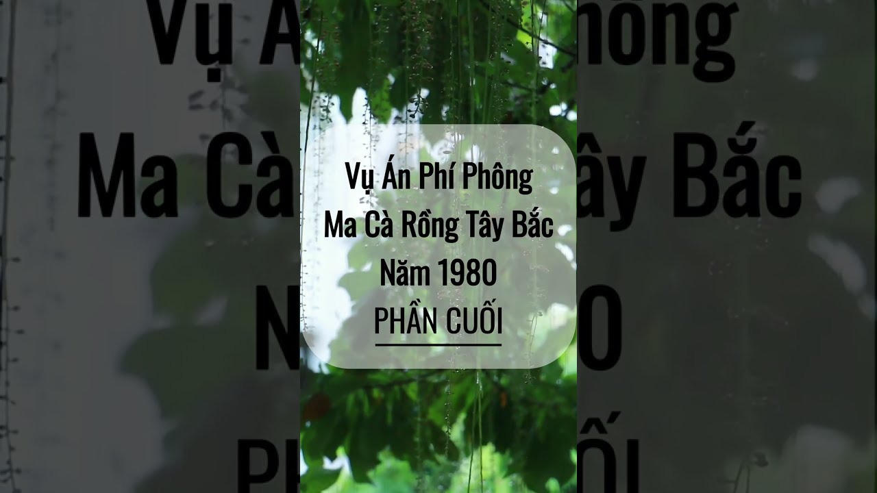 Vụ Án Phí Phong | MA CÀ RỒNG TÂY BẮC năm 1980 | PHẦN CUỐI