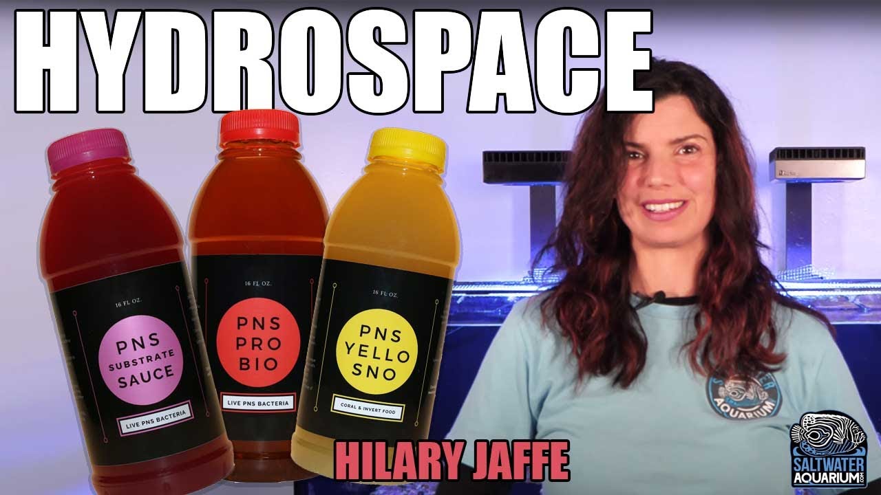 INTERVIEW w/ Hydrospace LLC - Purple Non-Sulfur Bacteria, Microbial Products - Hilary Jaffe