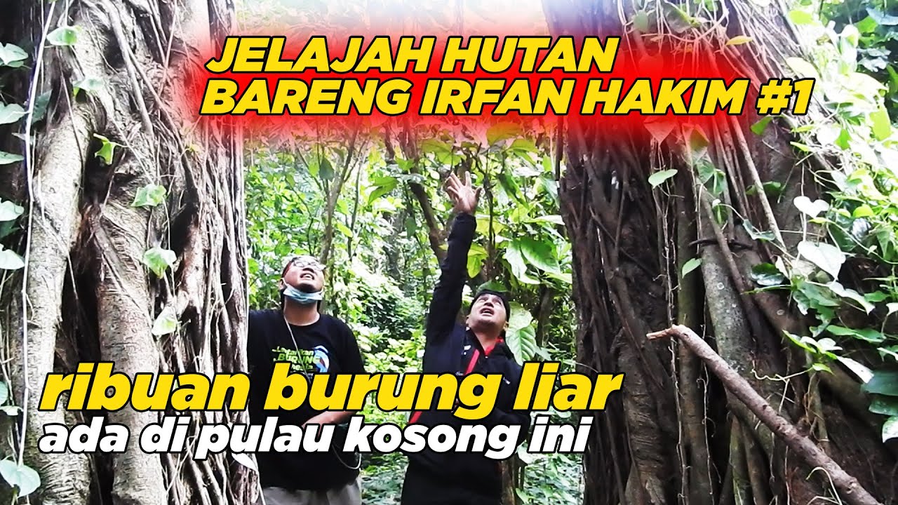 JELAJAH PULAU BARENG IRFAN HAKIM, Pantau Ribuan Burung Liar ada di tempat ini - DEHAKIMS DAHSYAT