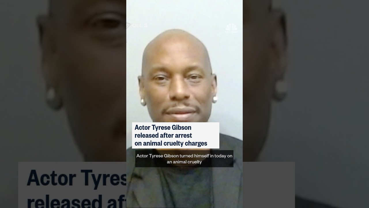 Actor Tyrese Gibson released after arrest on animal cruelty charges