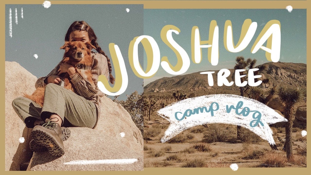TRAVEL VLOG: Joshua Tree | WahlieTV EP734