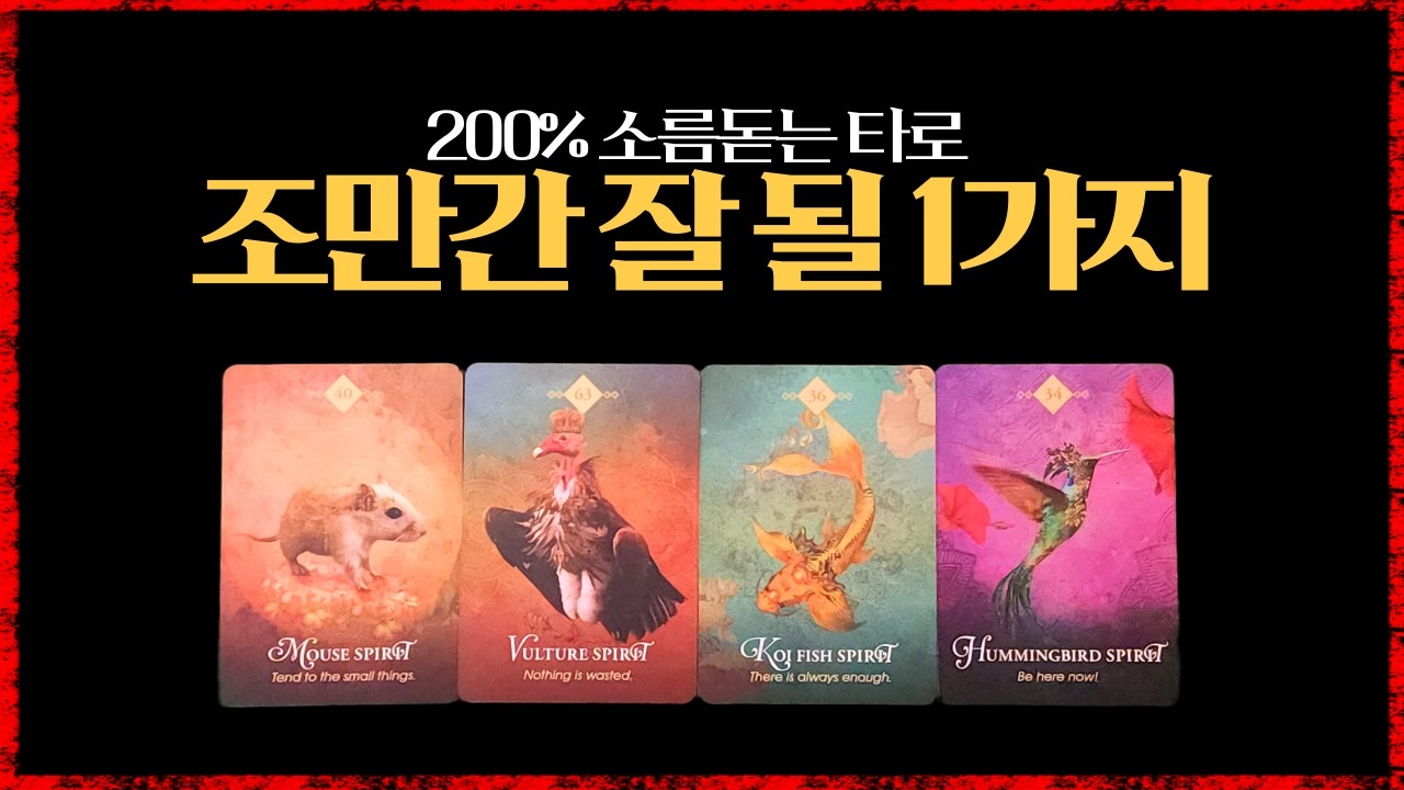[타로]조만간 잘될일#타로의신
