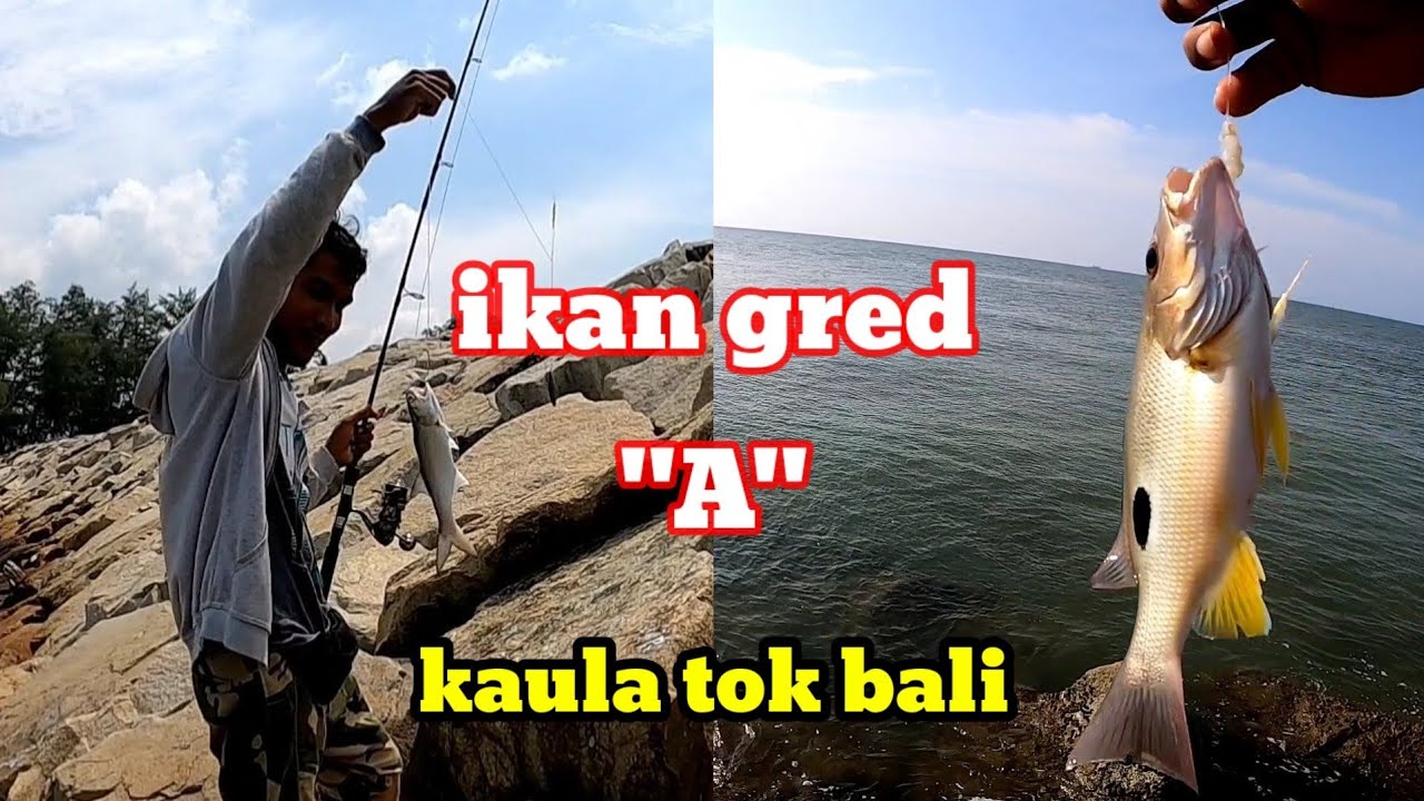 Strike Ikan Gred 