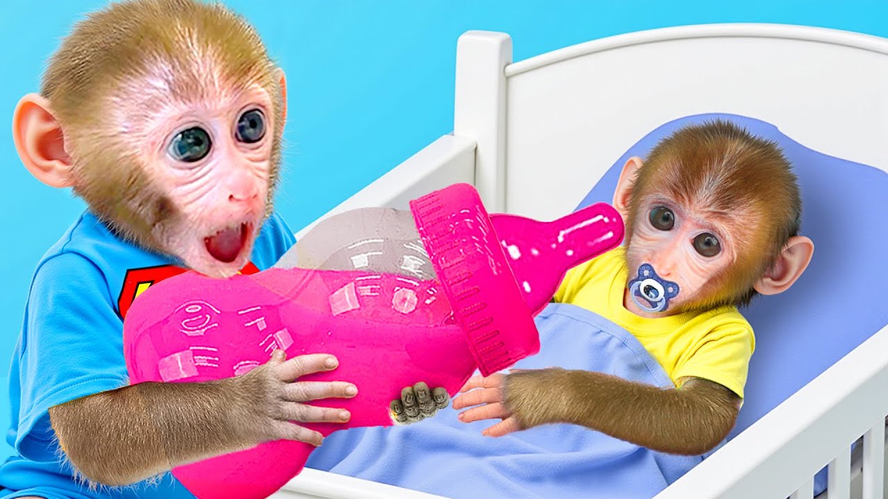 Bon Bon Affe k&uuml;mmert sich um krankes Affenbaby und ernten gemeinsam Drachenfr&uuml;chte!🤒🐵🥭