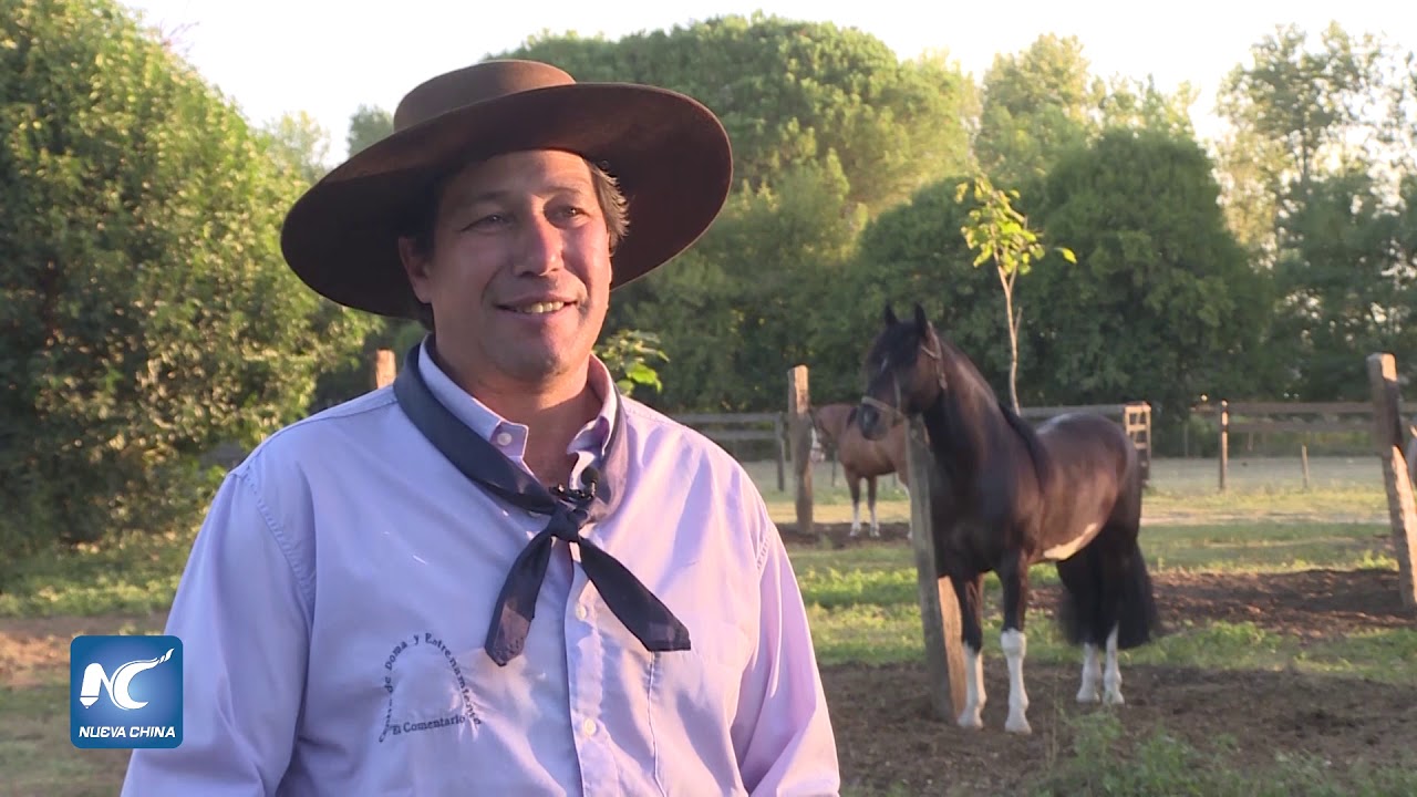 Centro familiar de entrenamiento mantiene viva la tradici&oacute;n del caballo criollo en argentina