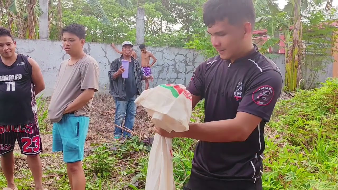 MGA ITLOG AT COBRA SA LOOB NG BAKURAN #cobraprince