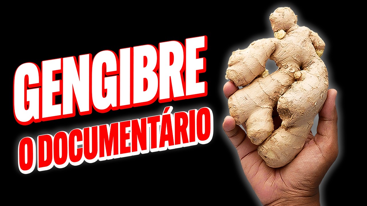GENGIBRE - Origem, lendas, receitas e ciência. Documentário completo - Guia da Floresta