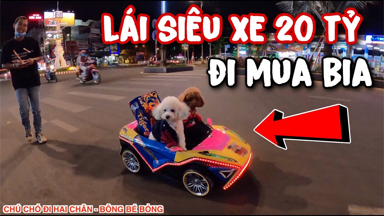SU XÍ XỌN VÀ BÔNG BÉ BỎNG LÁI SIÊU XE 20 TỶ ĐI MUA BIA CHO BA | CHÚ CHÓ ĐI HAI CHÂN