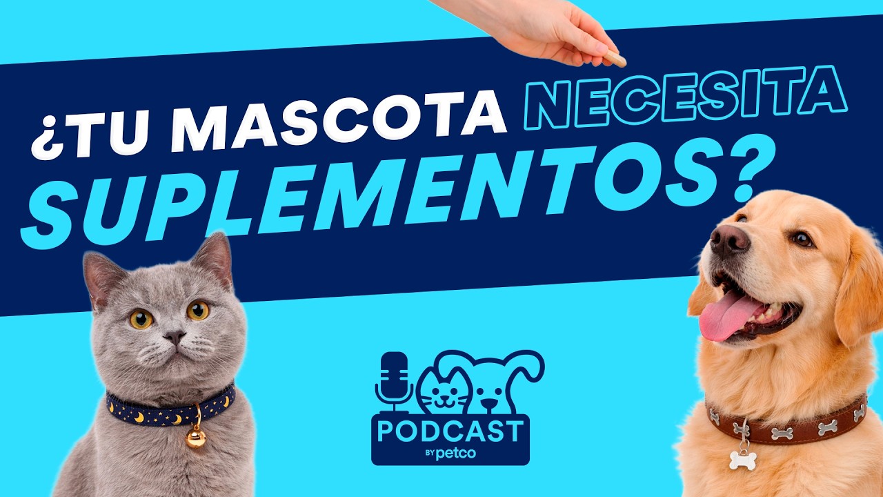 ¿MI MASCOTA NECESITA VITAMINAS? TODO SOBRE SUPLEMENTOS 🐶💊| Petco Podcast - Episodio 5 - T1​