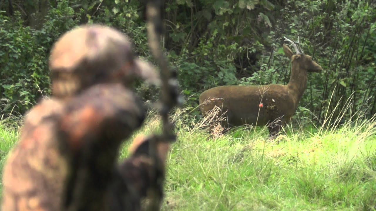 Super slow motion 3D archery, Mathews Chill-R, Monster MR6. Nordica Outdoors