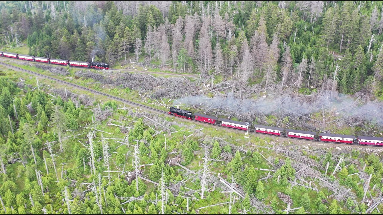 Waldsterben im Harz 2020 (Luftaufnahme / Drohne) / Forest decline in middle Germany by drone