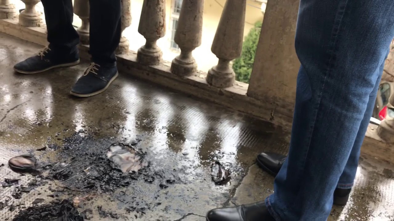 Cocktail molotov la PSD Cluj. Declaratie Horia Nasra