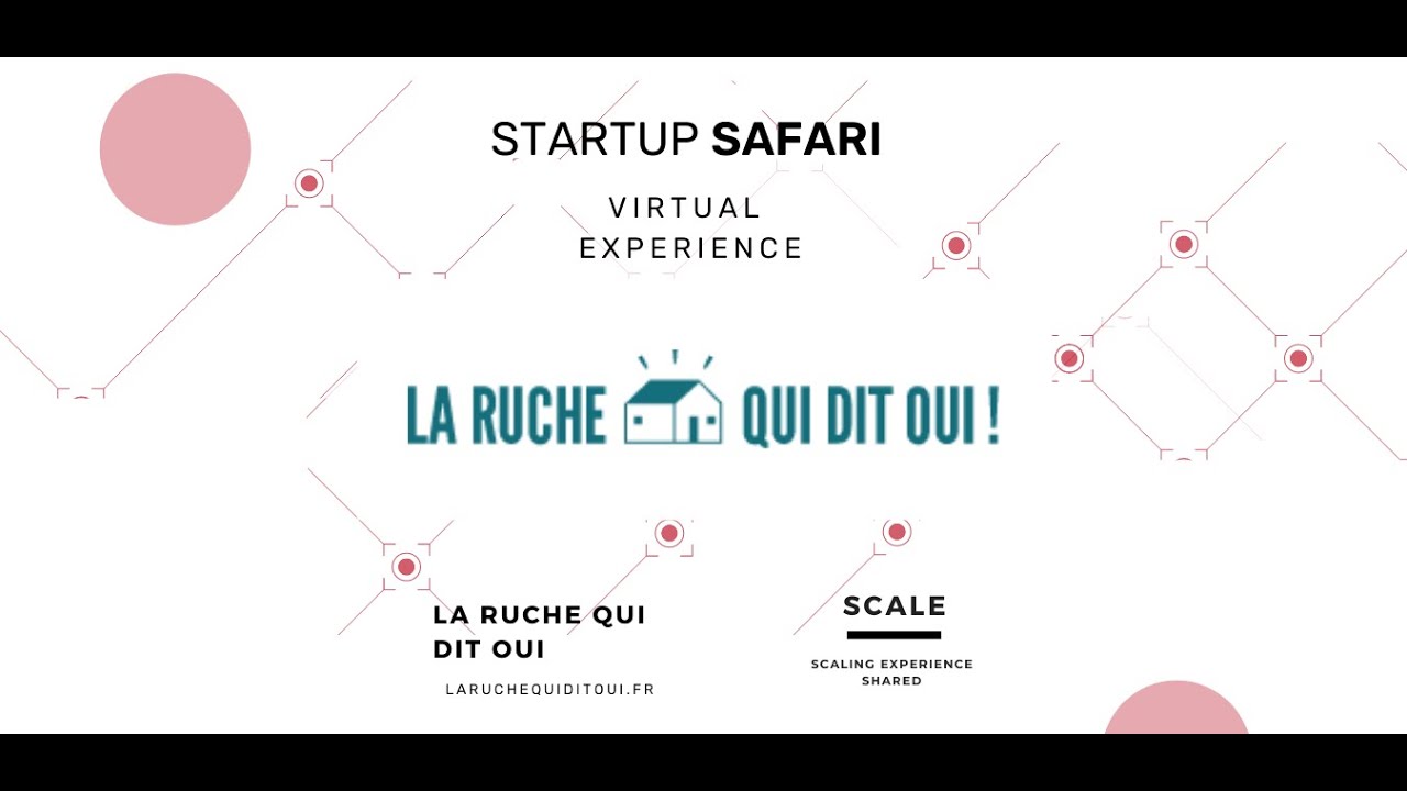 Expérimentez le sacling de votre startup avec La Ruche qui dit Oui