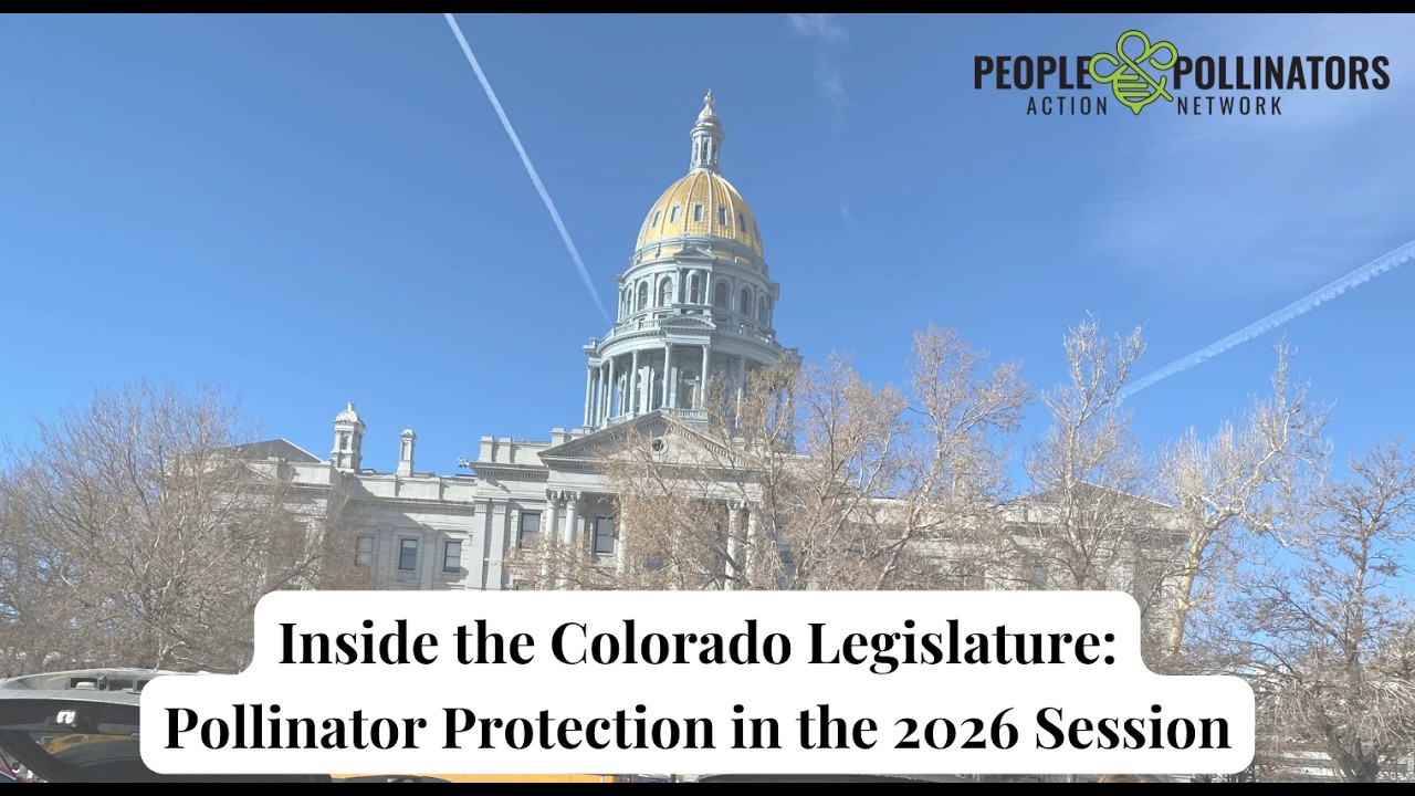 Inside the Colorado Legislature: Pollinator Protection in the 2026 Session
