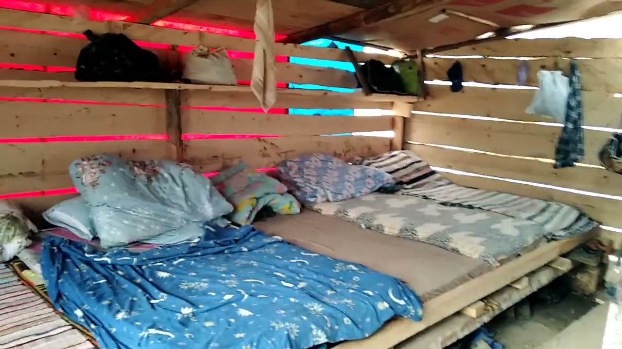 Karabük, Yenice ormanları, Orman günlüğü.