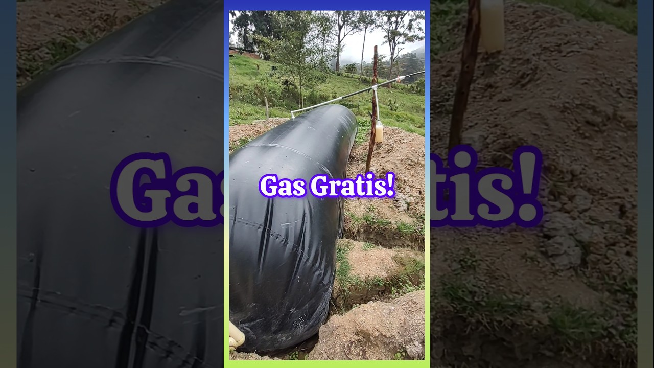 Con ESTIERCOL de los cerdos, producimos GAS! Cap&iacute;tulo 1/3 #losbiorganicos