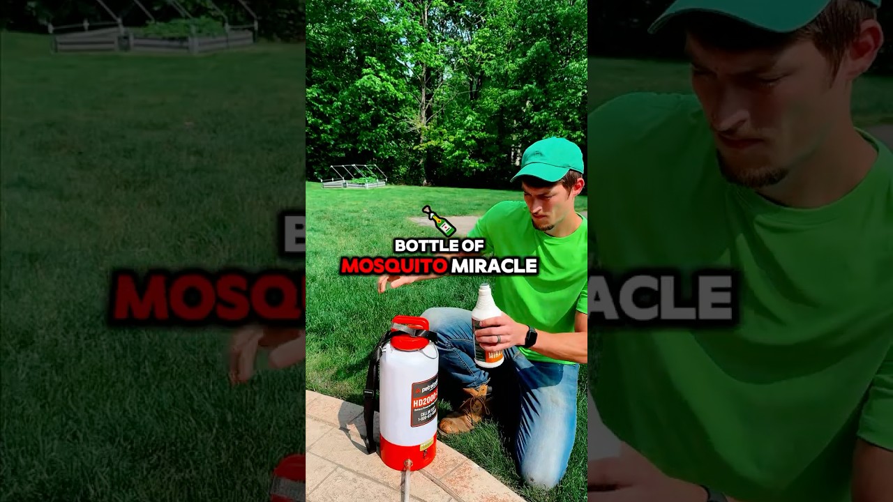 I Tried Mosquito Miracle Instead of Chemicals and WOW!
