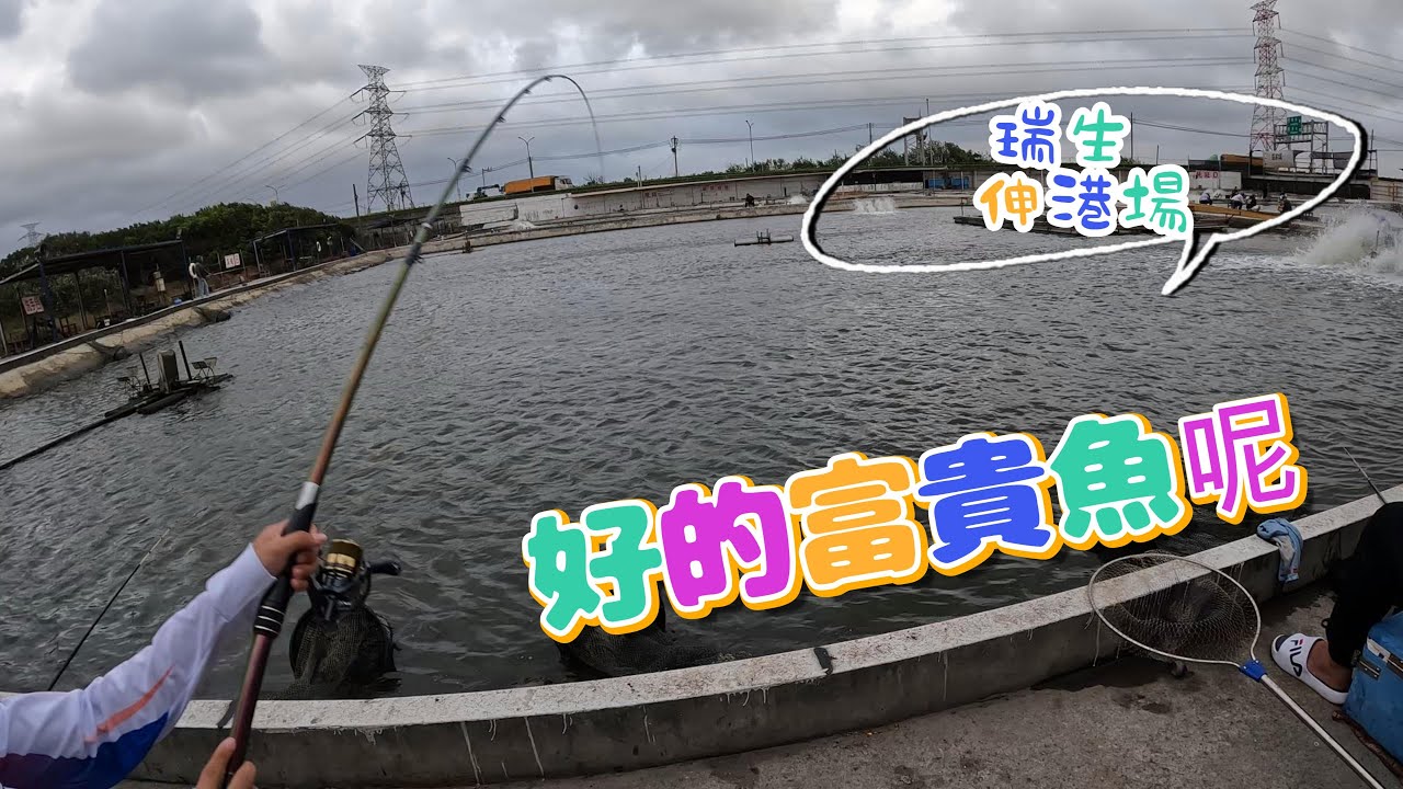 瑞生 伸港場 本來要釣富貴魚的結果又是搞到大金昌