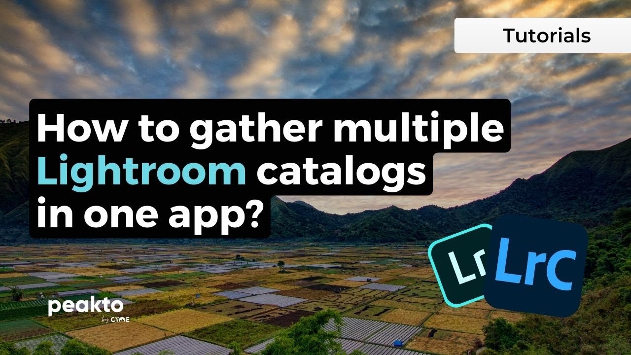 How to gather and view multiple Lightroom catalogs in one app?