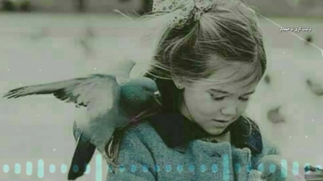 نوی خوندور نعت آواز نصیب الله خوش نصیب داسی نورو نعتونو دپاره زمونږ یوټوب چینل سبسکریاب کړی 😍 🔔👉