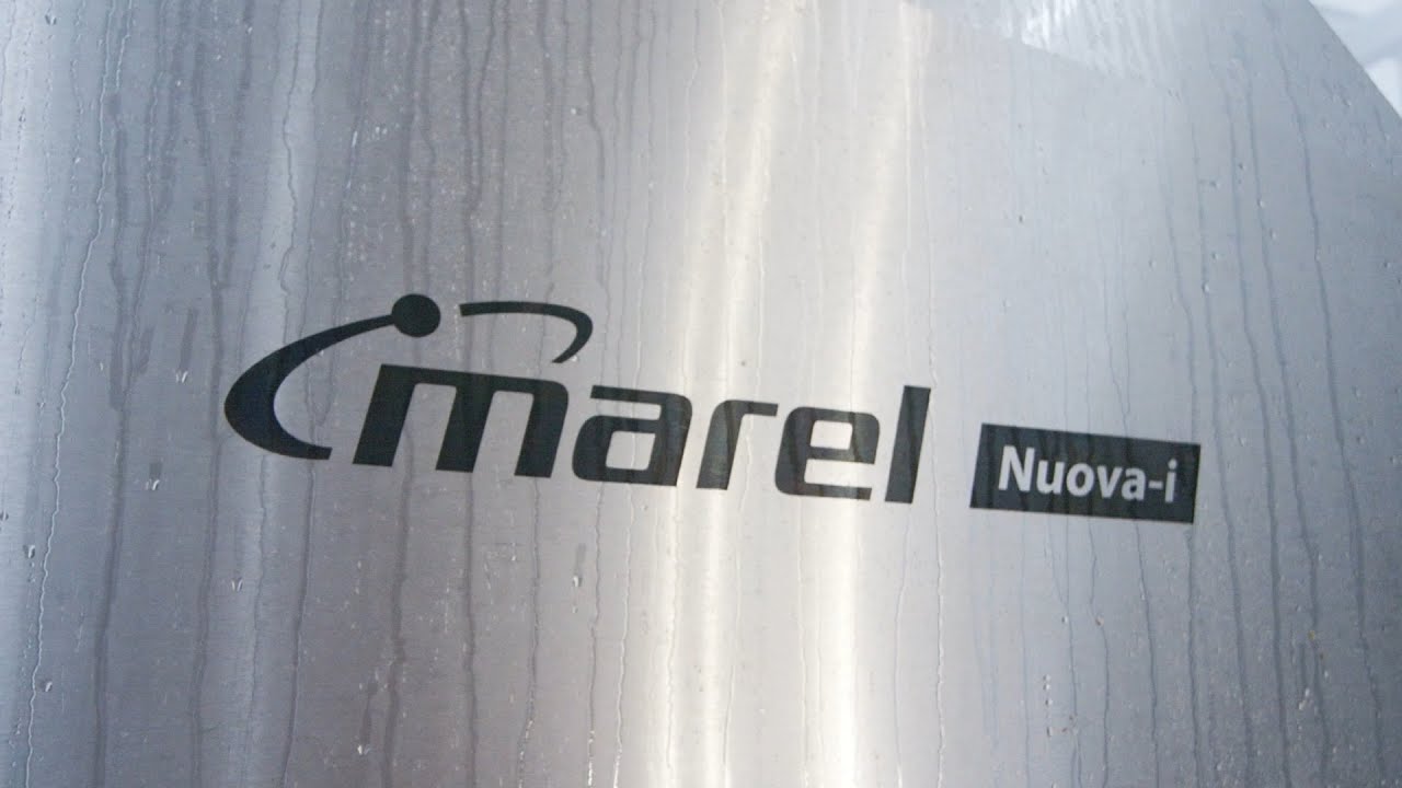 Marel Nuova-i, intelligent evisceration management