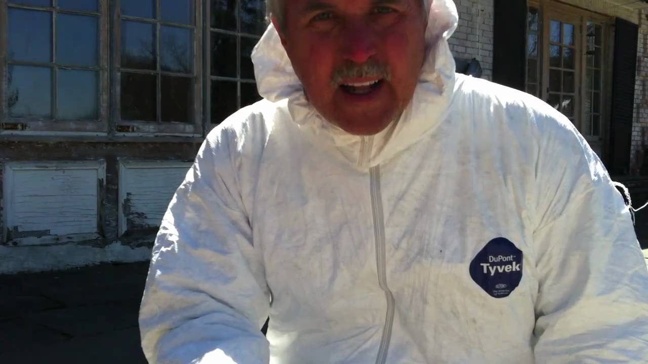 Robert Skorr's Bee Hive attacked by a Racoon !