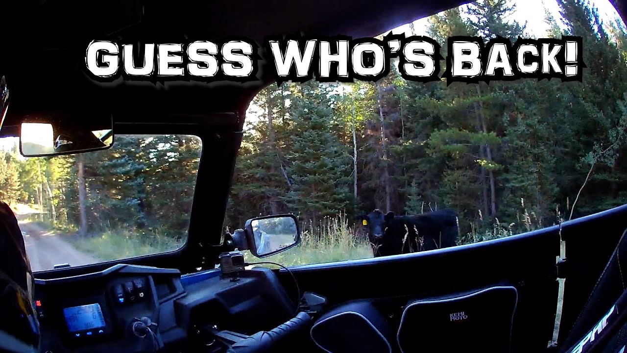 6000 Miles with a Polaris RZR XP Turbo