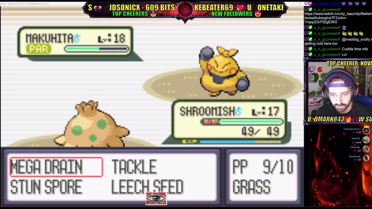 &ldquo;This Fight Nearly Ended My Run&hellip; Beating Brawly in Pok&eacute;mon Ruby!&rdquo;