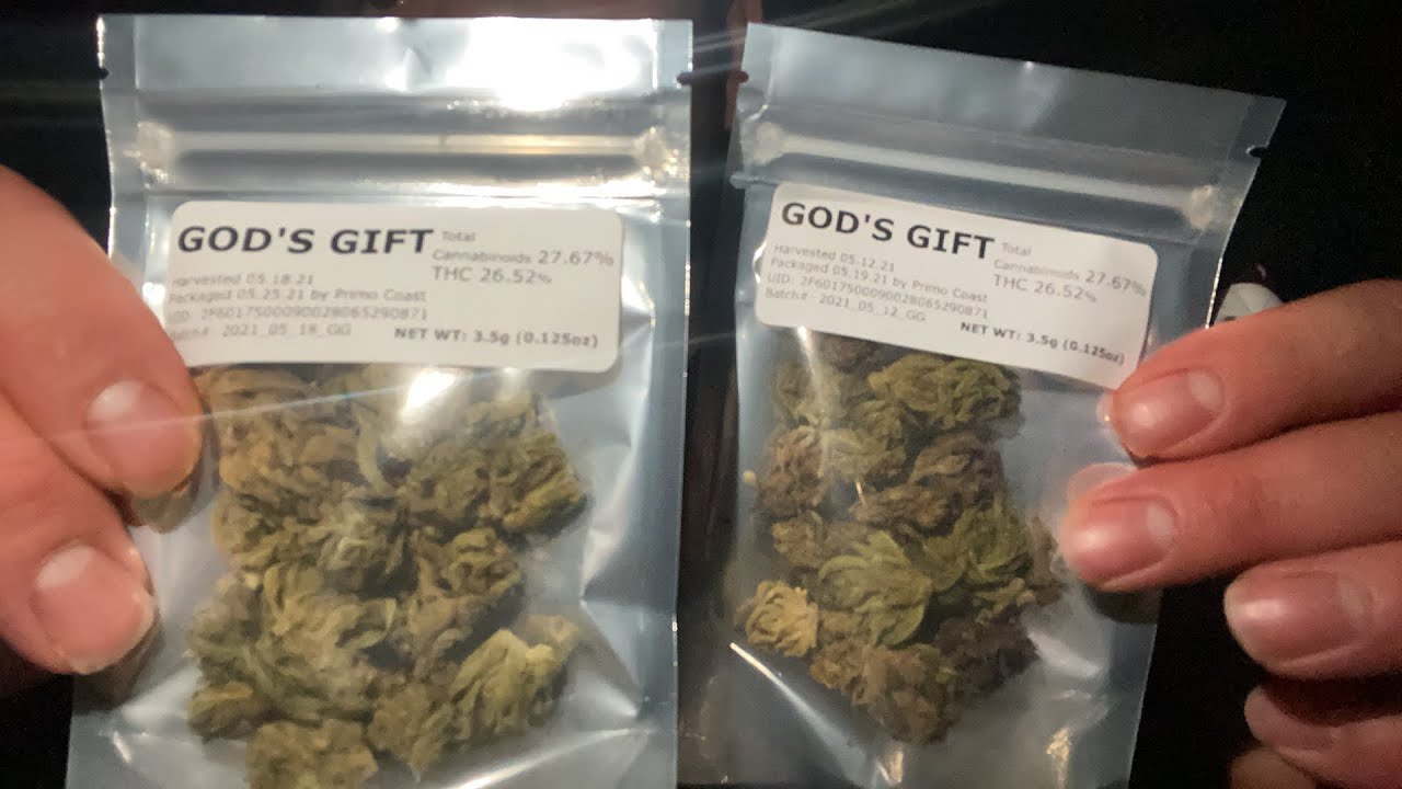 God&rsquo;s Gift Strain Review!