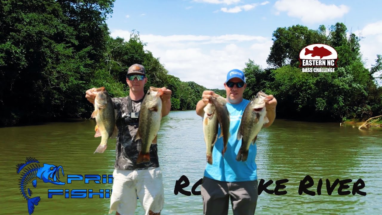 Что это за звук? Мой BUZZbait тонет! - NC Bass Challenge 2022 - Река Роанок
