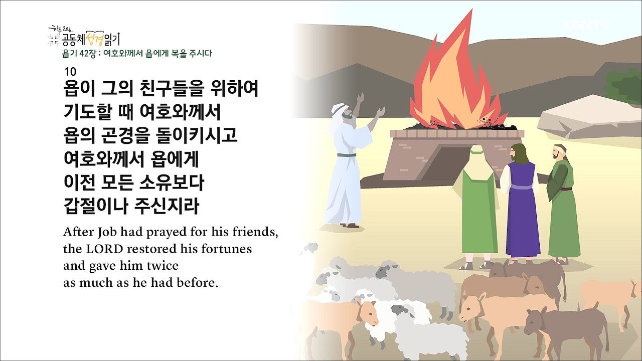 [하루 20분 공동체성경읽기] 6/17 욥기 39-42장