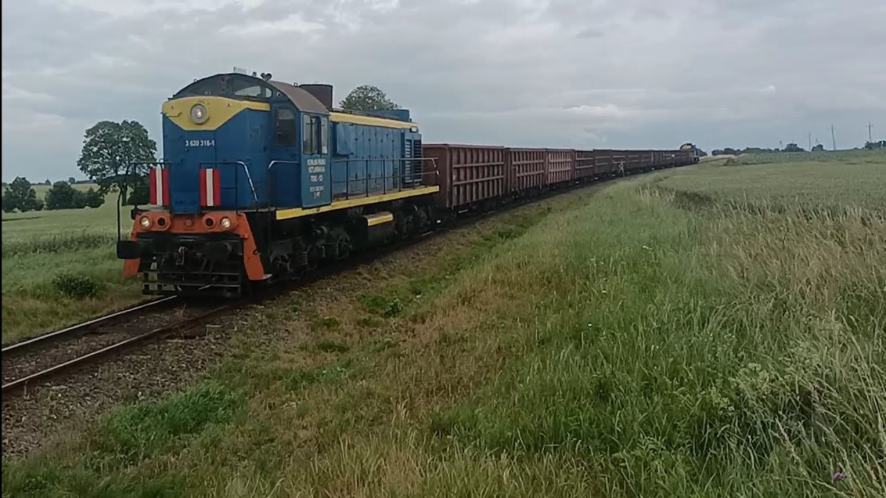 DWIE TAMARY W JEDNYM  czyli TEM2-123 + węglarki + 21D-005 na linii kolejowej nr 403