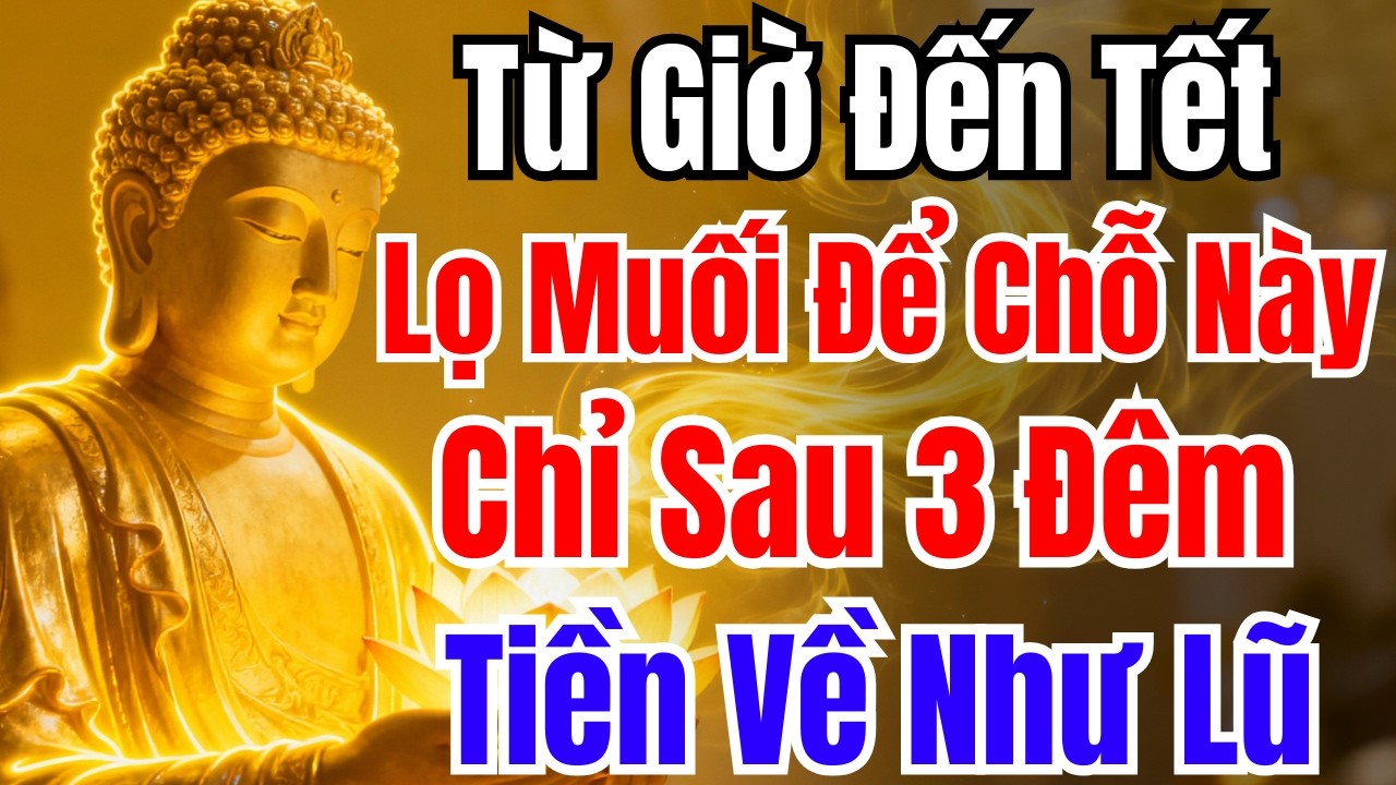 TỪ GIỜ ĐẾN TẾT : Đặt Ngay Lọ Muối Ở Vị Trí Này, Chỉ Sau 3 Đêm, Tài Lộc Về Liên Tục
