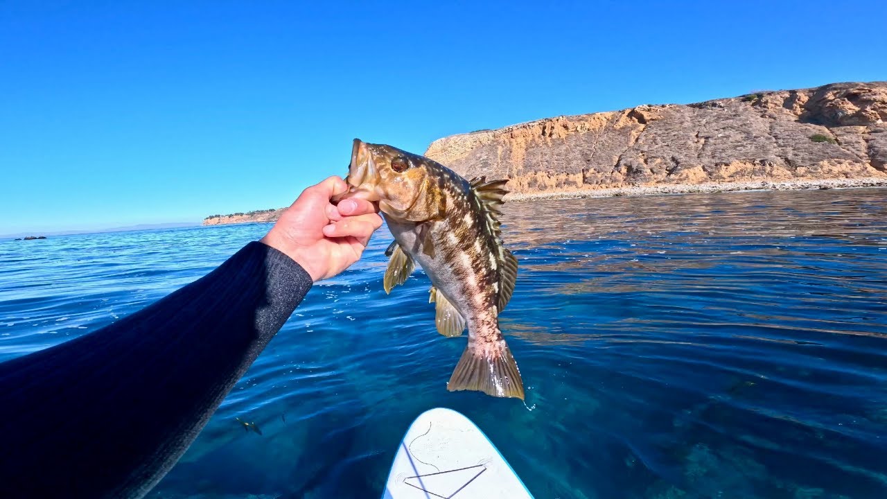 Fishing Crystal Clear Water in Palos Verdes!