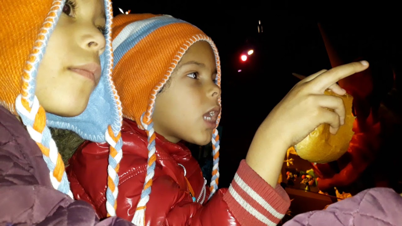 EFTELING onride Carnival met Faye en Pax!