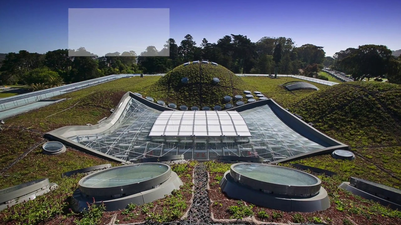 California Academy of Sciences - Project of the Week 6/5/17