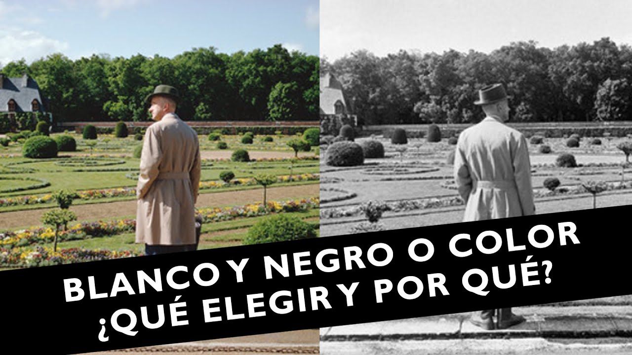 📸 Blanco y Negro o Color en Fotografía: ¿Qué elegir y por qué?